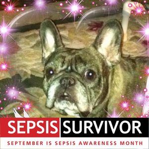 Meet your Posher, Dar